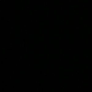 Meet your Posher, Brandi